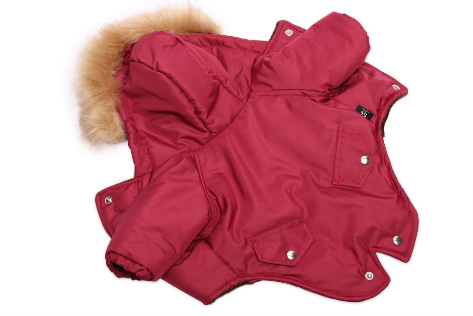 Lion зимняя куртка для собак: парка, красная (S)