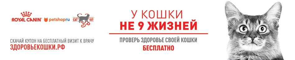 У кошки не 9 жизней