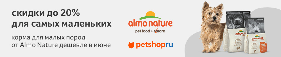 Скидки до 20% на корма Almo Nature для самых маленьких!