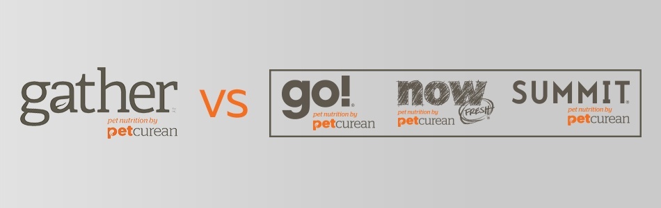 Отличие кормов Gather от GO!, NOW и Summit