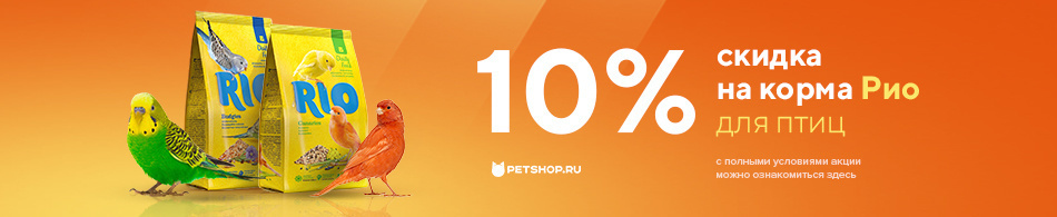 -10% на корма Рио для птиц