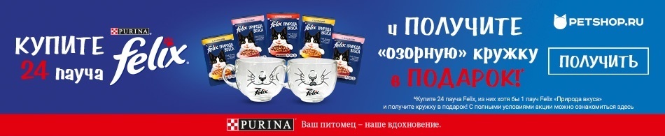 Кружка от Felix в подарок!