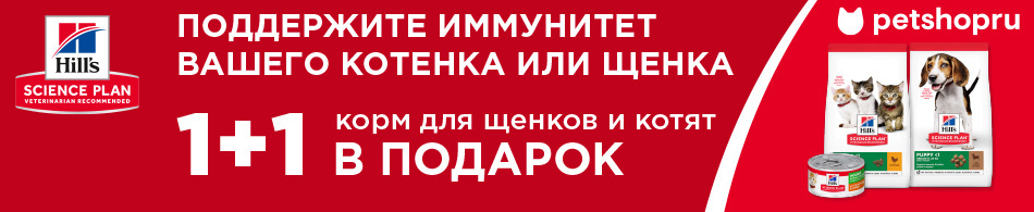 Вторая упаковка Hill`s Science Plan в подарок!