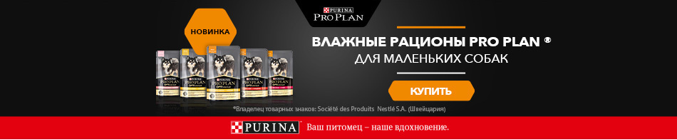 Новинка! Влажные рационы Pro Plan для маленьких собак