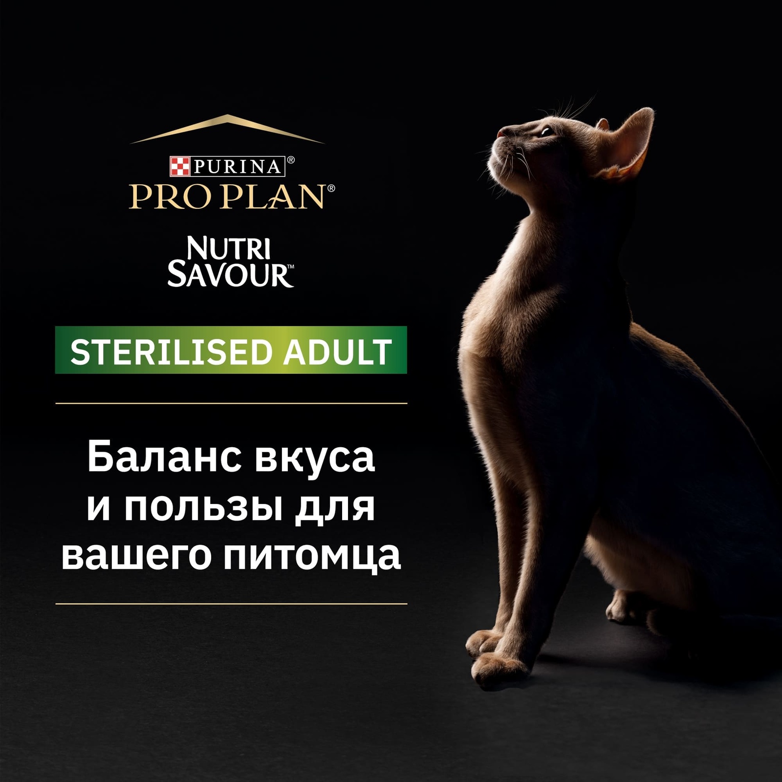 PRO PLAN (консервы) влажный корм Nutri Savour для взрослых стерилизованных кошек и кастрированных котов, вкусные кусочки с индейкой, в желе (1 шт) от Petshop