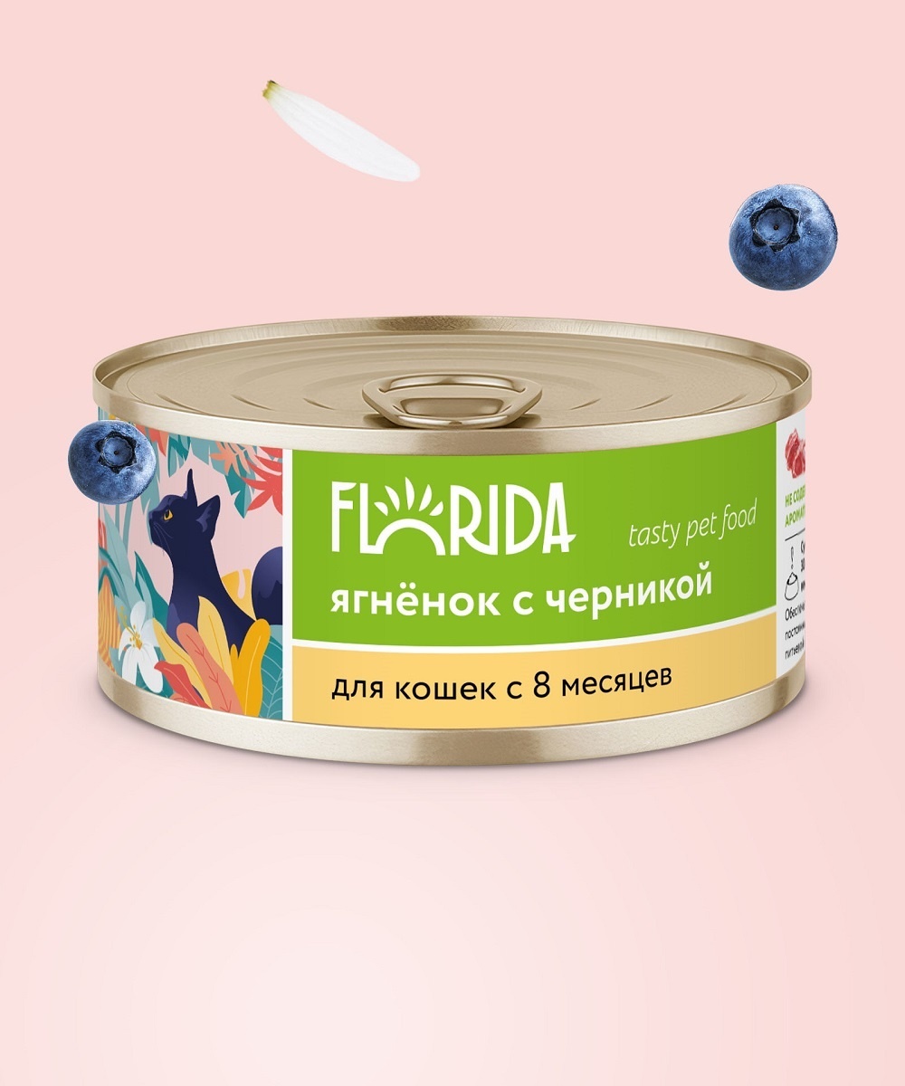 FLORIDA консервы FLORIDA консервы для кошек Ягненок с черникой (100 г) цена и фото