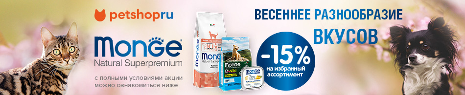 -15% на корма Monge