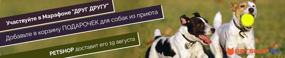 Участвуйте в марафоне "Друг Другу"