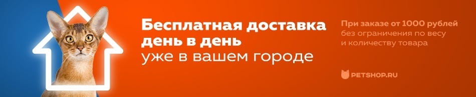Доставка день в день — уже в вашем городе!