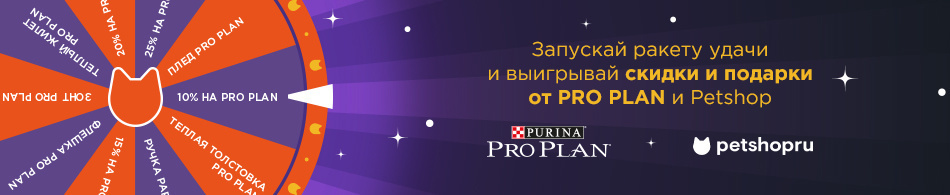 Запускай ракету удачи!