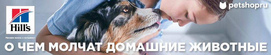 Заболевания кожи у животных
