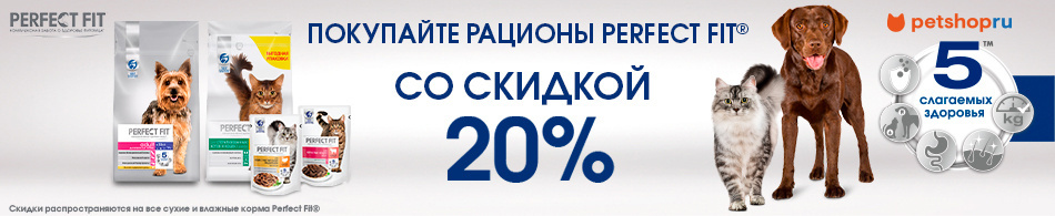 -20% на корма и паучи Perfect Fit