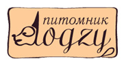 Догзи - Питомник собак породы русский той и чихуахуа (Dogzy – РКФ - FCI)