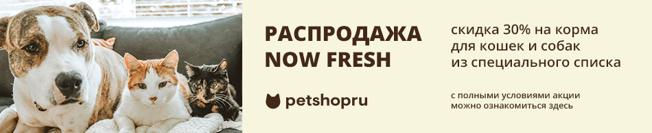 Распродажа NOW FRESH! Скидка 30% на корма для кошек и собак