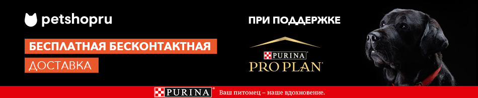 Доставим любой заказ бесплатно!