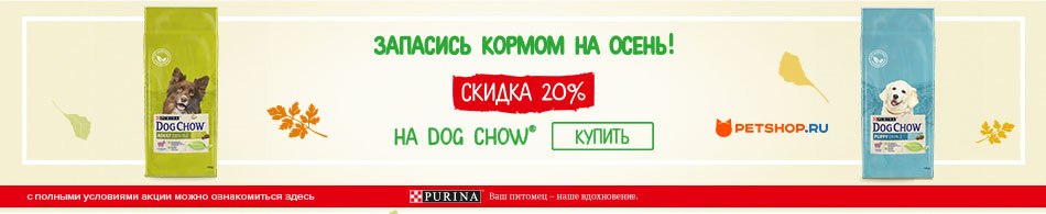 -20% на корма для собак Dog Chow