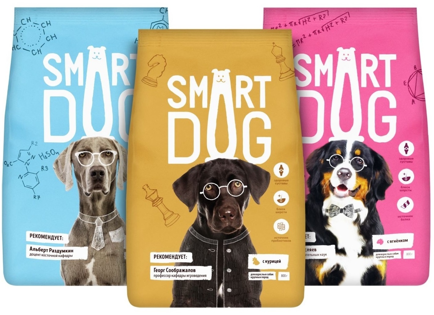 Корм Smart Dog умный набор (2,4 кг)