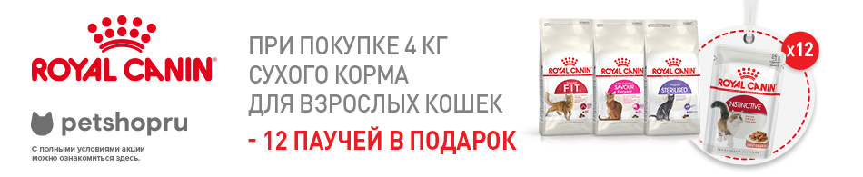 При покупке 4-х кг корма Royal Canin - паучи в подарок!