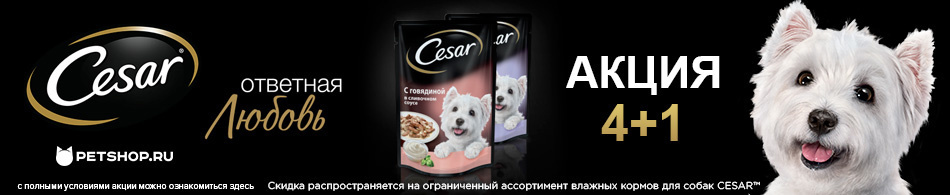 При покупке 5 одинаковых паучей Cesar - 1 в подарок!