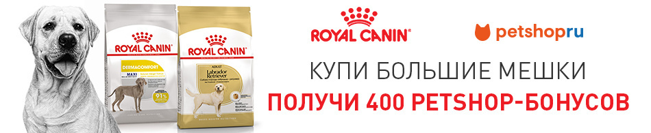400 бонусов в подарок при покупке корма Royal Canin!