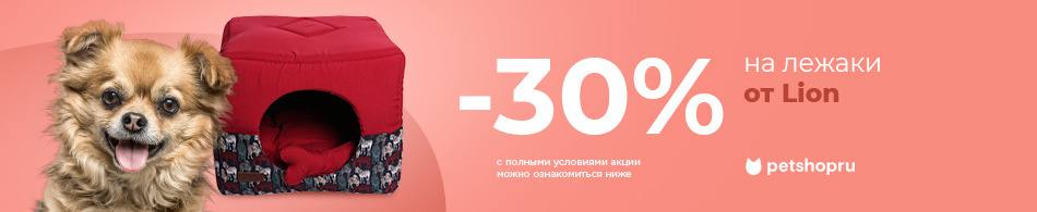 -15% на лежаки от Lion