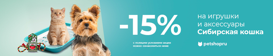 -15% на игрушки и аксессуары Сибирская кошка!