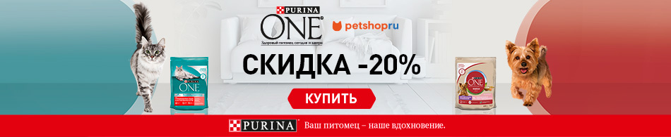 -20% на все корма Purina One!