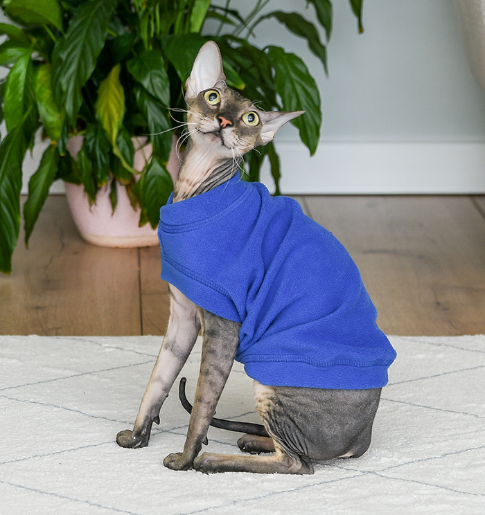 Tappi одежда Tappi одежда жилет для кошек Ньёрд, синий (XL)