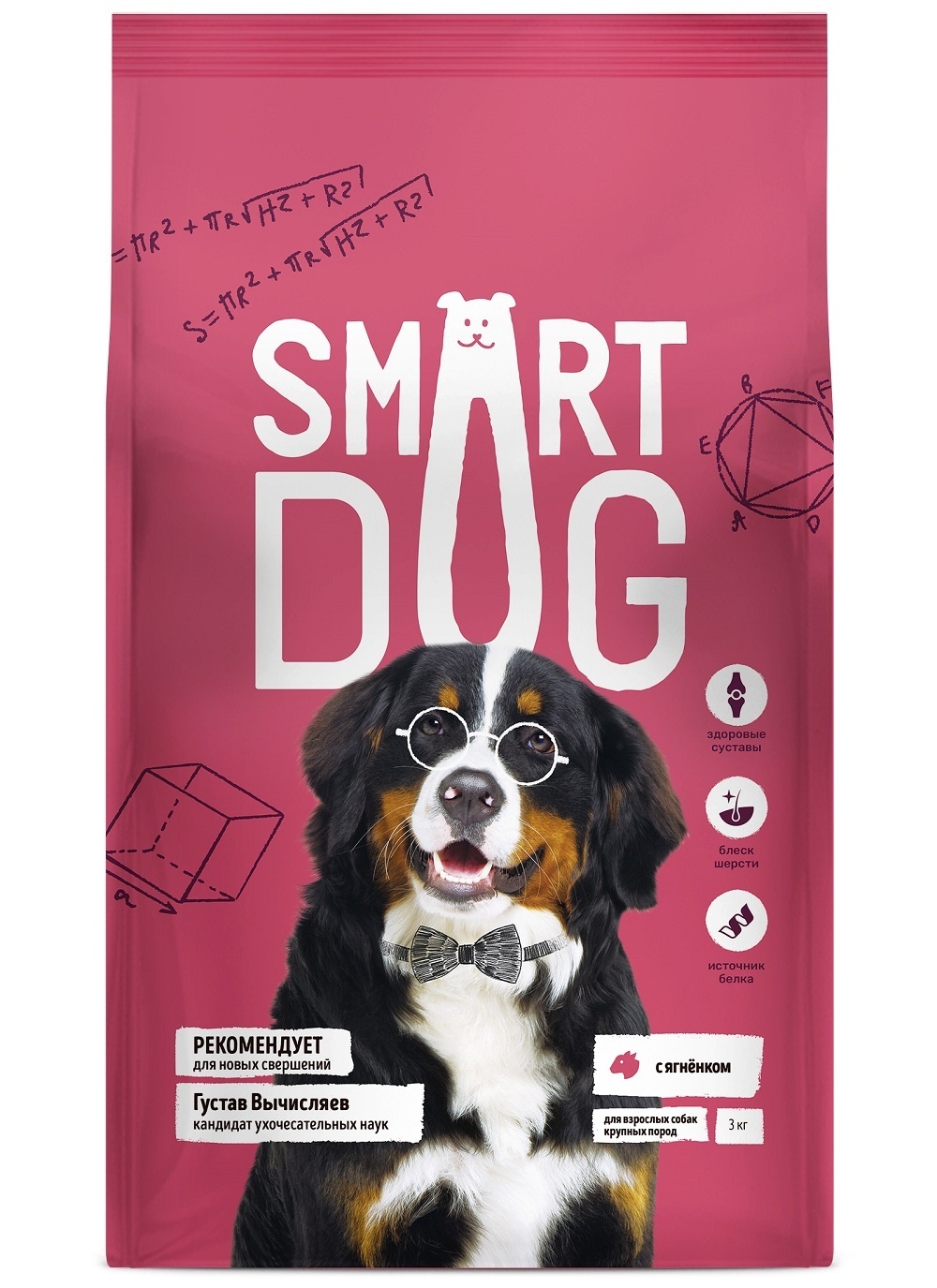 Корм Smart Dog для взрослых собак крупных пород, с ягненком (800 г)