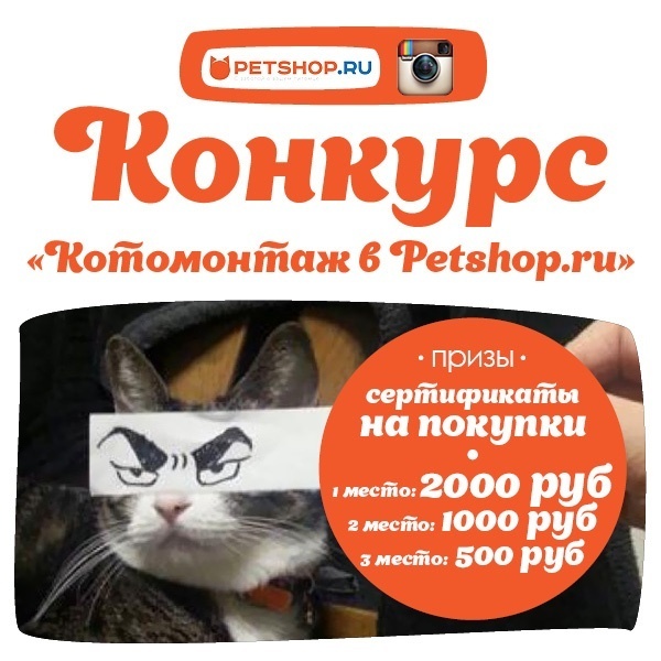 Конкурс в Instagram "Котомонтаж в Petshop.ru"!
