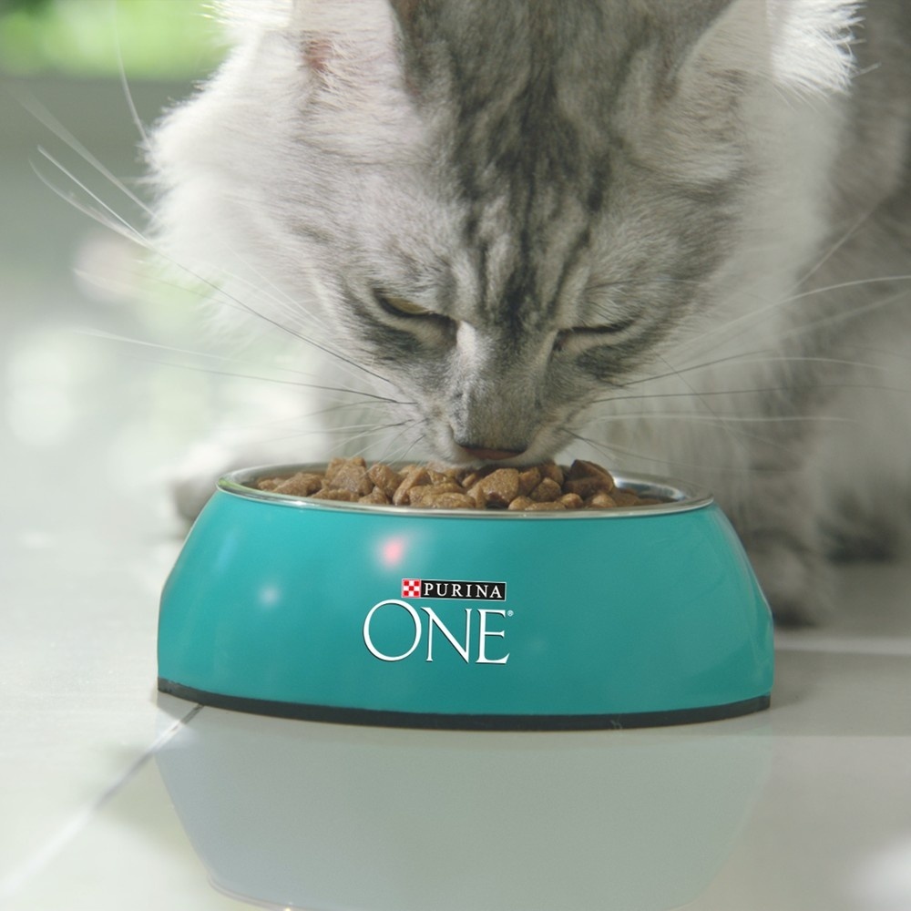 Корм Purina One для взрослых кошек с чувствительным пищеварением и разборчивым вкусом в еде, с высоким содержанием индейки и рисом (1,5 кг) 