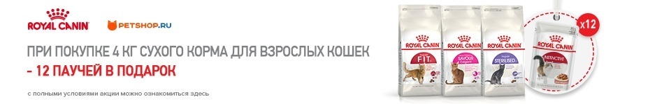 Приобретите корм Royal Canin для кошек в фасовке 4 кг и получите 12 паучей в подарок!