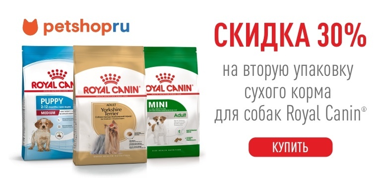 Petshop Ru Интернет Магазин Воронеж Petshop Ru Интернет Магазин Воронеж
