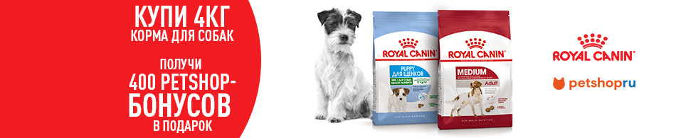 400 бонусов в подарок при покупке кормов Royal Canin!