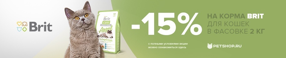 Скидка 15% на корма для кошек Brit в фасовке 2 кг