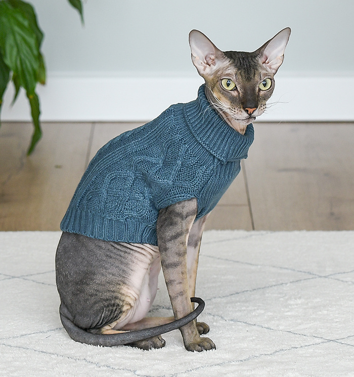 Lelap одежда Lelap одежда свитер для кошек и собак Bloom голубой (S)