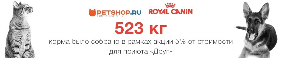 523 кг корма Petshop.ru доставил в приют "Друг"
