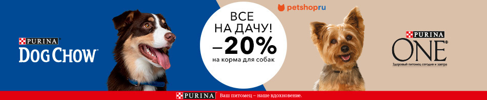 -20% на корма Dog Chow и Purina One!