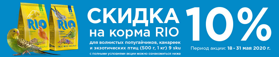 -10% на продукцию Рио