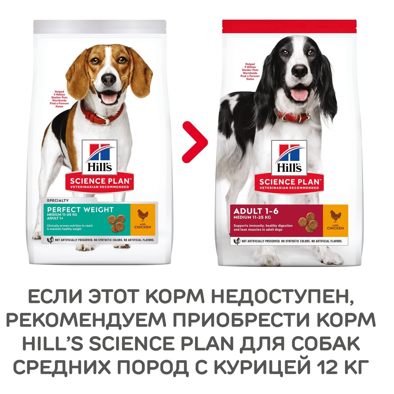 Корм Hill's Science Plan сухой корм для взрослых собак средних пород для поддержания оптимального веса, с курицей (12 кг) 