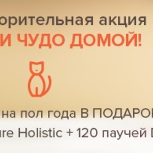 Благотворительная программа «Возьми чудо домой» Благотворительная программа «Возьми чудо домой»