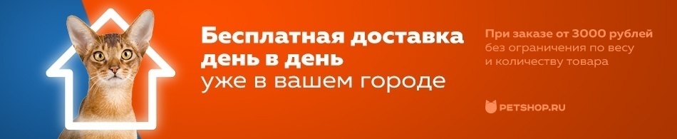 Доставка день в день — уже в вашем городе!