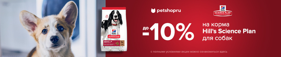 Скидки до 10% на корма Hill`s Science Plan
