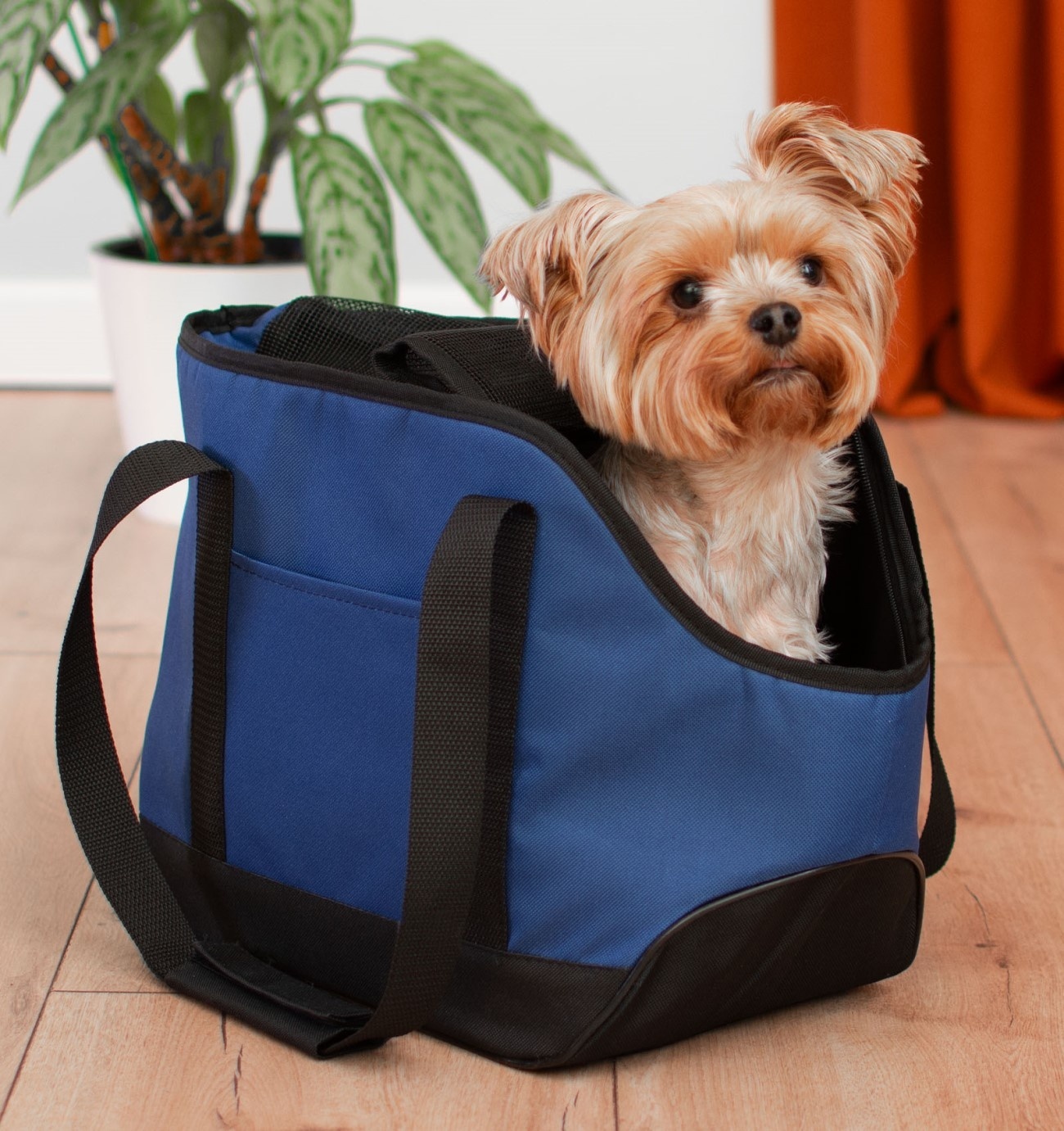 PETSHOP транспортировка PETSHOP транспортировка сумка-переноска Джойс с карманом, синяя (20х41х27 см)