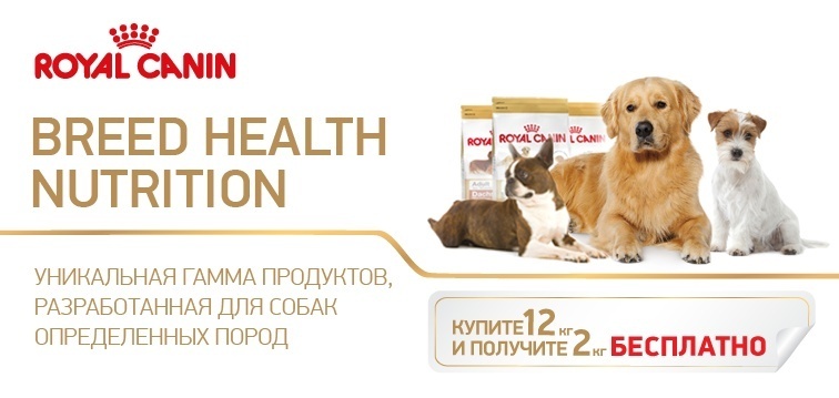 АКЦИЯ ЖИРАФ ОТ ROYAL CANIN 2 кг в подарок!