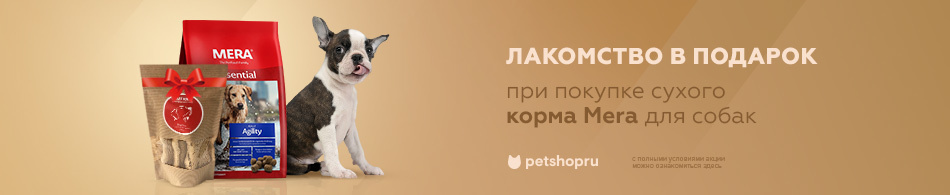При покупке корма Mera для собак — лакомство в ассортименте в подарок!
