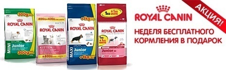 Акция ЖИРАФ от Royal Canin! Неделя бесплатного кормления в подарок!