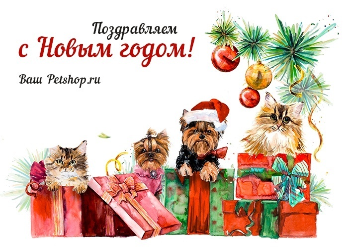 Поздравляем Вас с Новым 2016 годом!