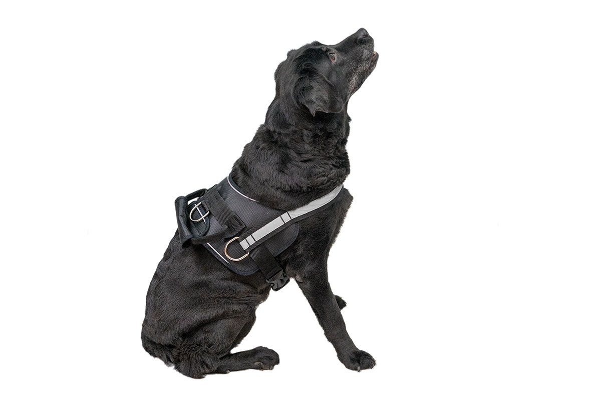 Yami-Yami амуниция Yami-Yami амуниция шлейка для служебных собак (тяговая) Kombo, черная (№1)