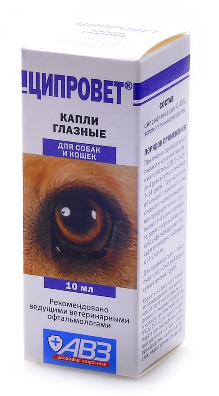 Агроветзащита Агроветзащита ципровет капли глазные (10 г) агроветзащита агроветзащита анандин капли ушные для лечения отитов 5 мл 13 г